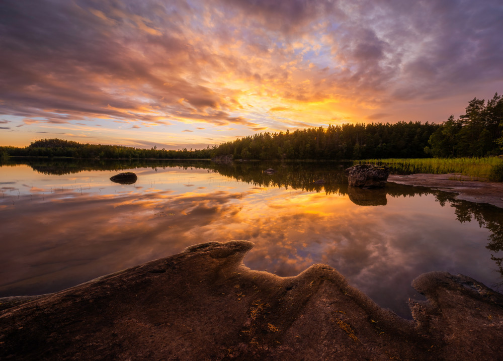 Forest lake von Christian Lindsten