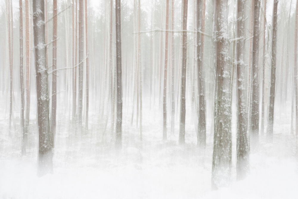 Winterforest in Sweden von Christian Lindsten