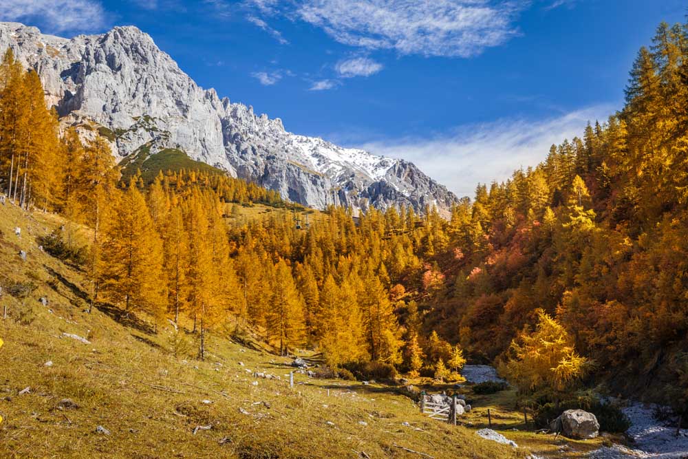 Wanderweg zwischen Neustattalm und Bachlalm an der der Dachstein von Christian Müringer