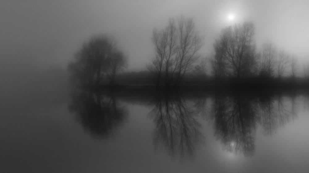 Foggy morning von Christian Roustan (Kikroune)