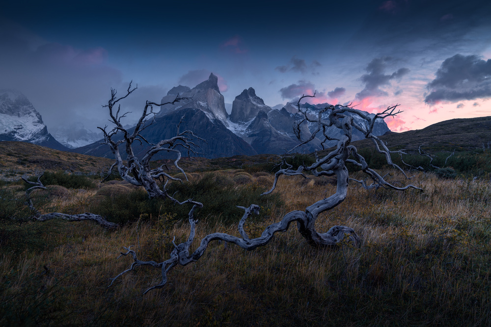 Torres del Paine von Christian S.