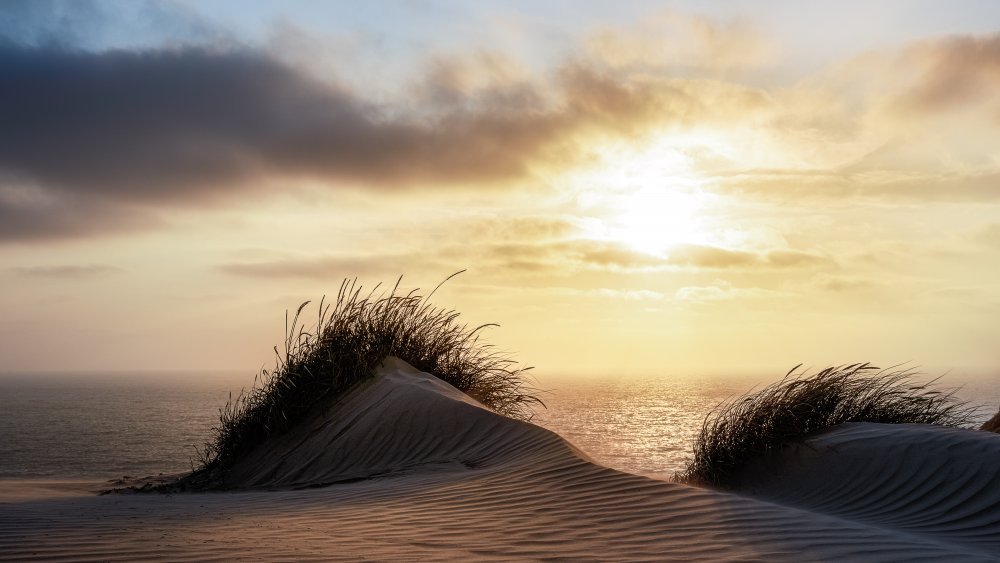 Dune - Denmark von Christiane Heggemann