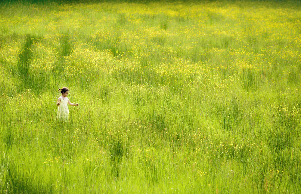 in the field von Christoph Hessel