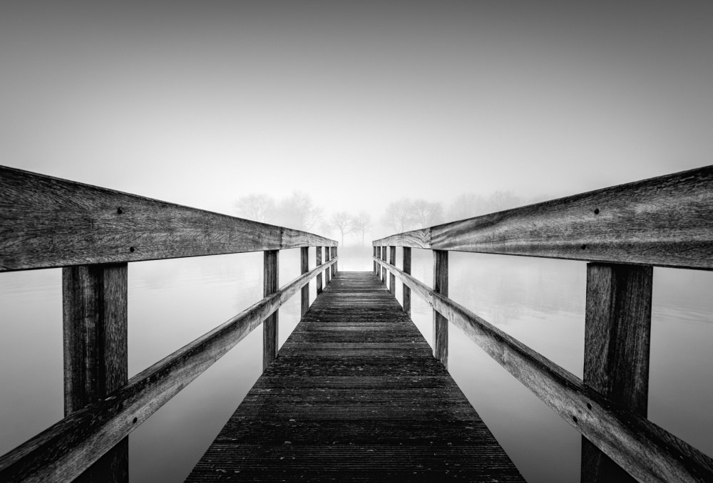 Losing sight von Christophe Staelens