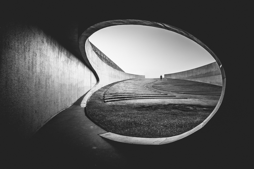 The search von Christophe Staelens