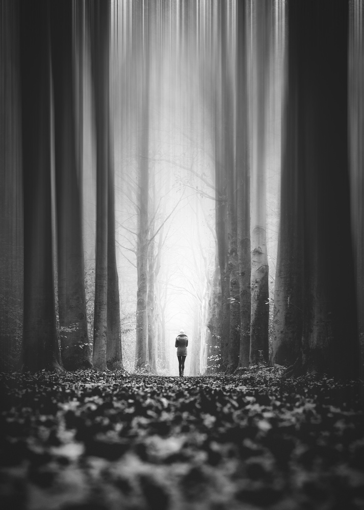 Dont be afraid von Christophe Staelens