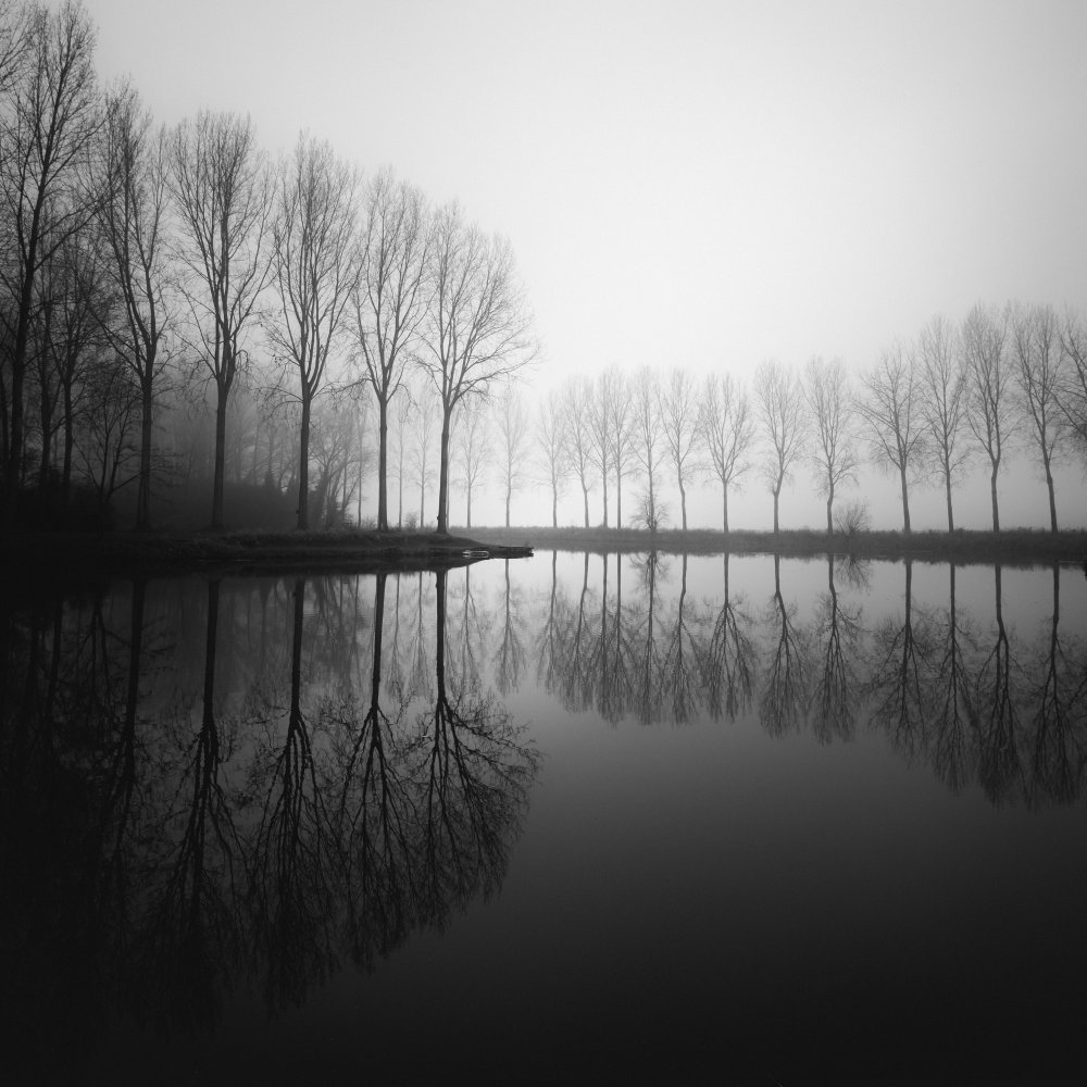 In dreams von Christophe Staelens