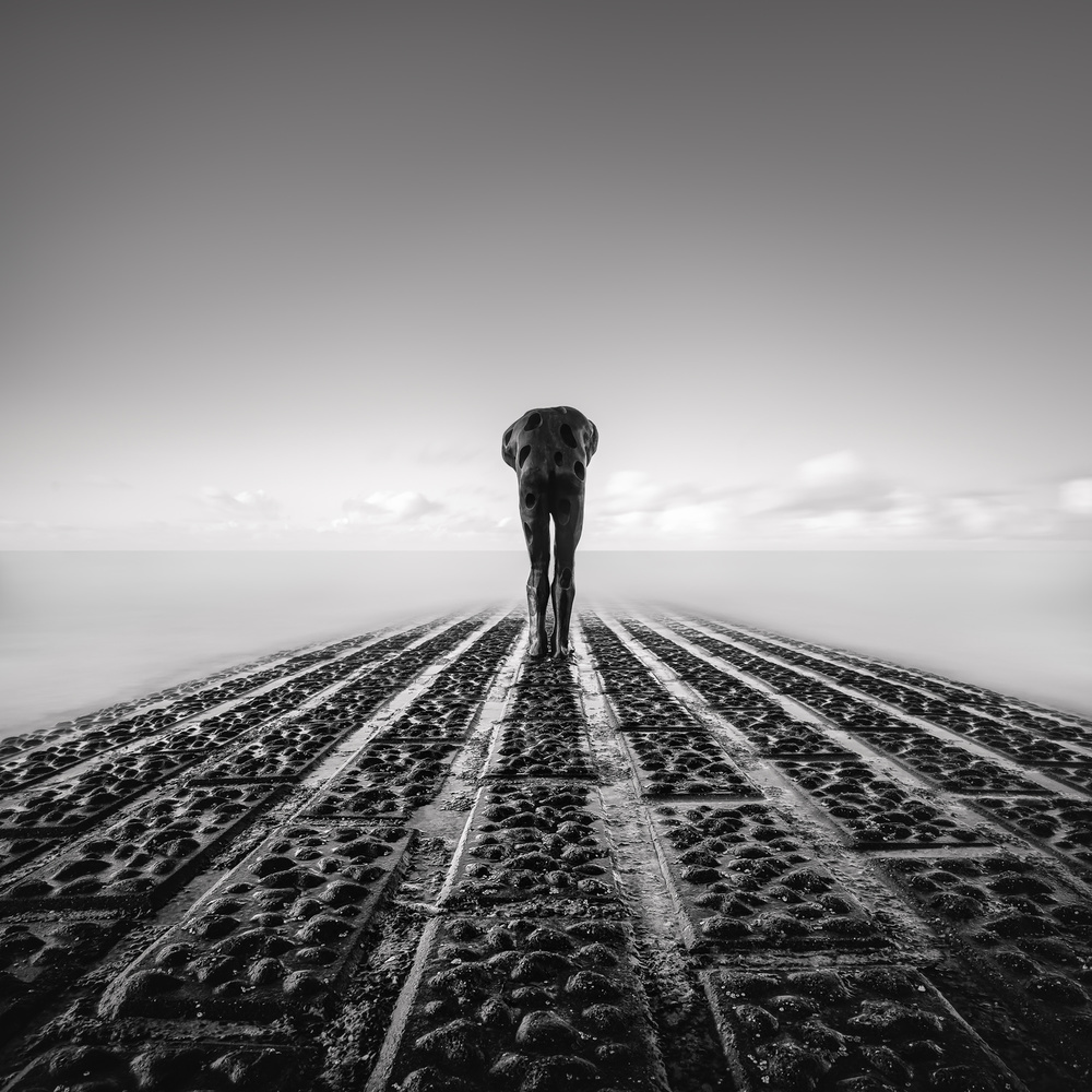 Tomorrow Man von Christophe Staelens