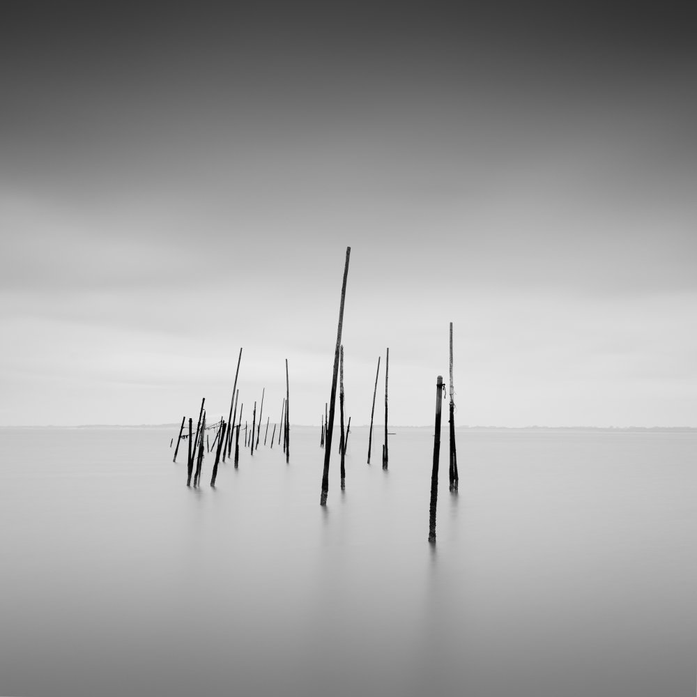 Disorder von Christophe Staelens