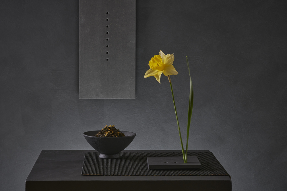 Narcissus Jonquilla von Christophe Verot