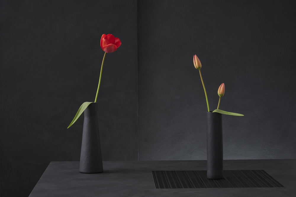 Tulipa Gesneriana N°3 von Christophe Verot