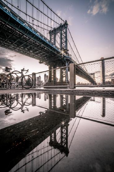 DUMBO Reflections