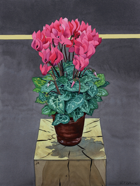 Still Life Cyclamen von Christopher  Ryland