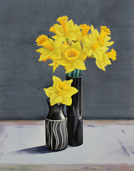 Still Life Daffodils von Christopher  Ryland