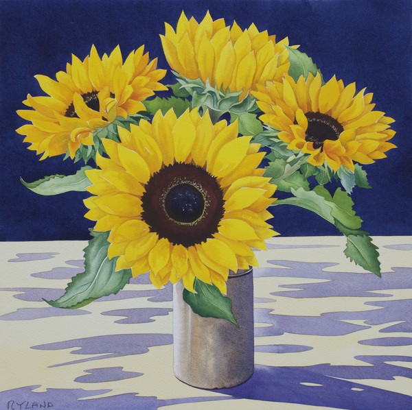 Sunflower Still Life von Christopher  Ryland