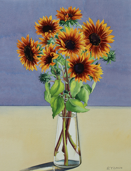 Sunflowers von Christopher  Ryland