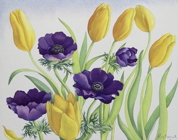 Tulips and Anemones von Christopher  Ryland