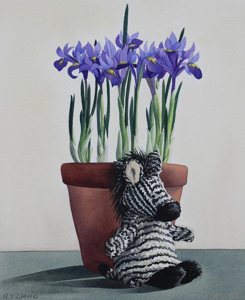 Winter Irises and Zebra von Christopher  Ryland