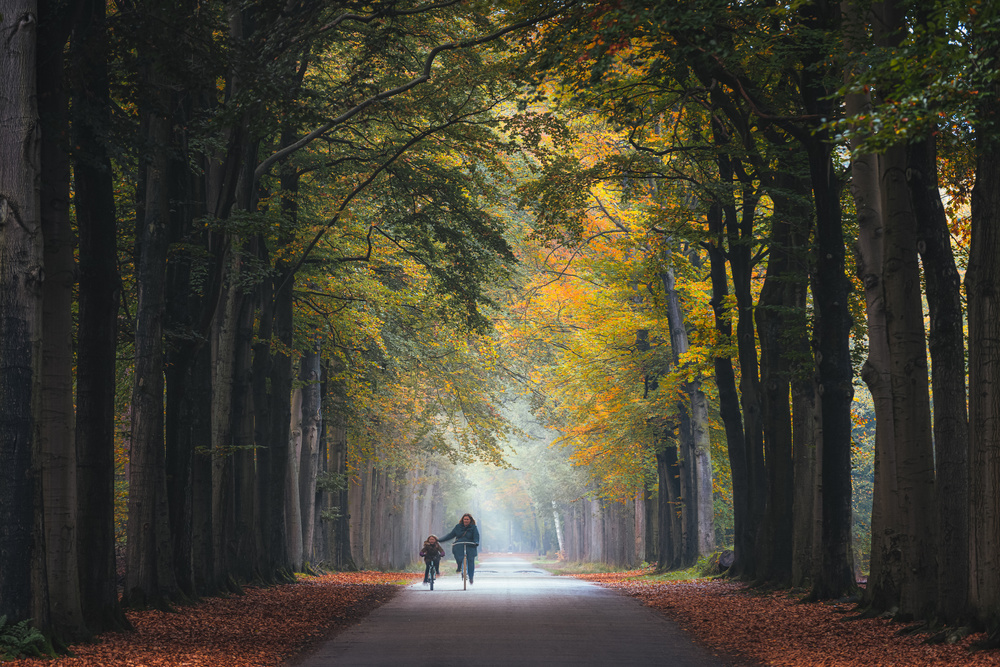 Cycling Lessons von Christos Zoumides