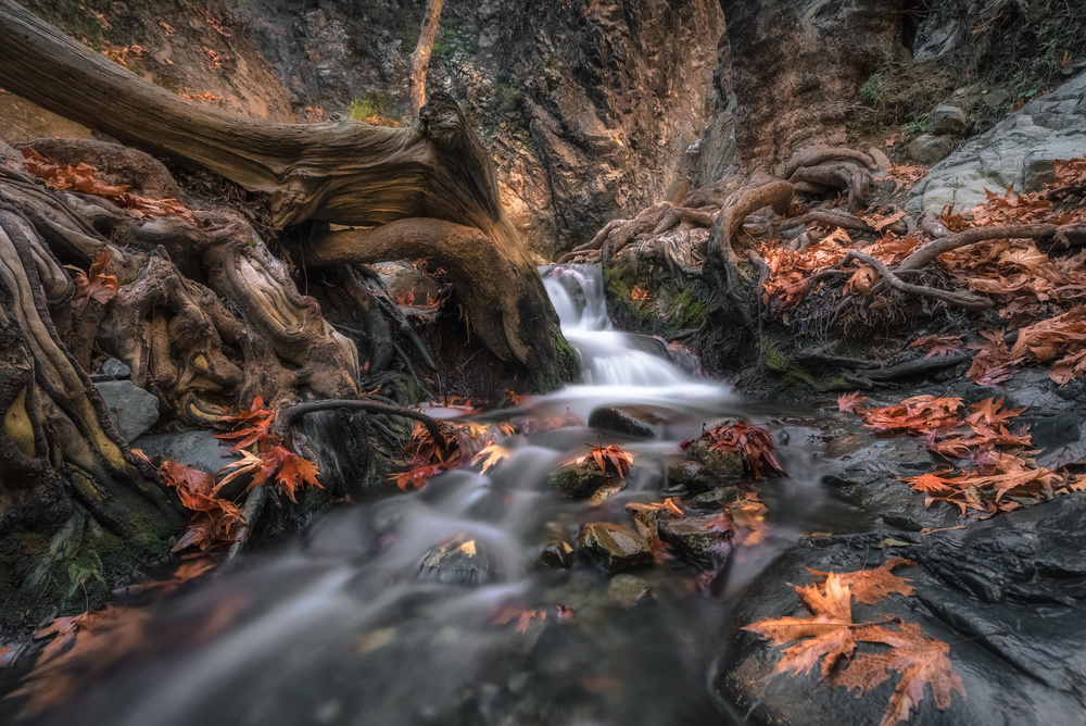 Autumn Cascade von Christos Zoumides