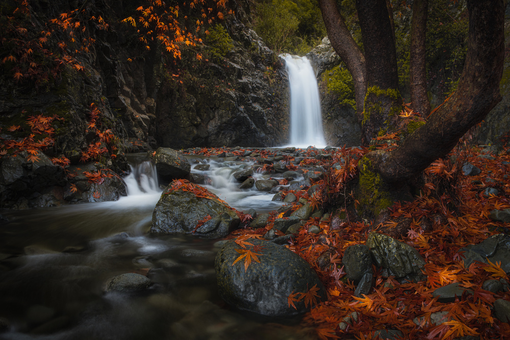 Headwaters von Christos Zoumides