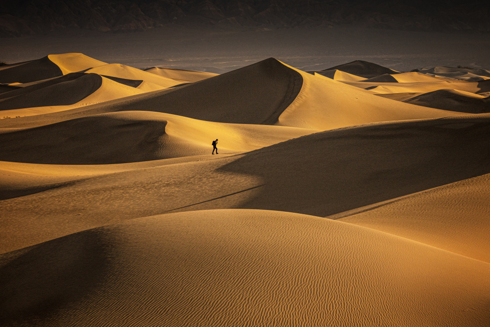 Walk Alone! von Chuan Chen