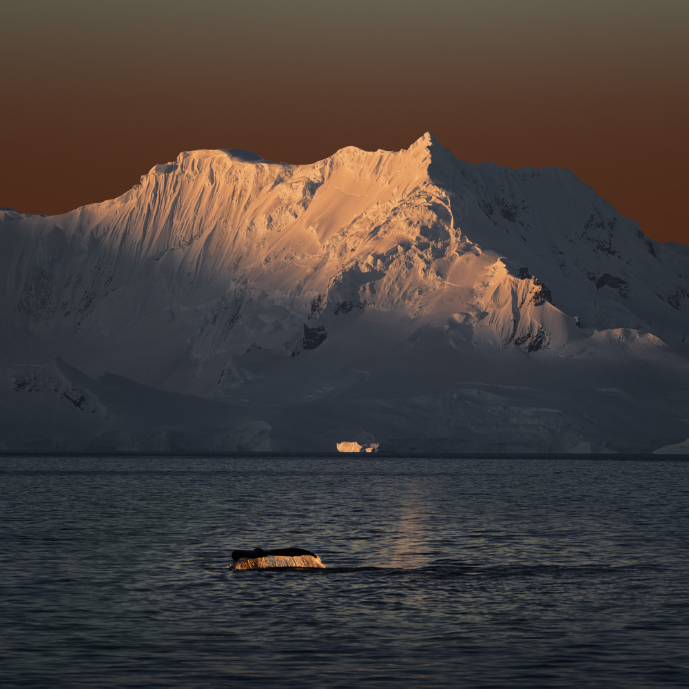 Antarctica in my memory von Chuanxu Ren