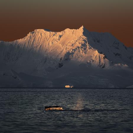 Antarctica in my memory