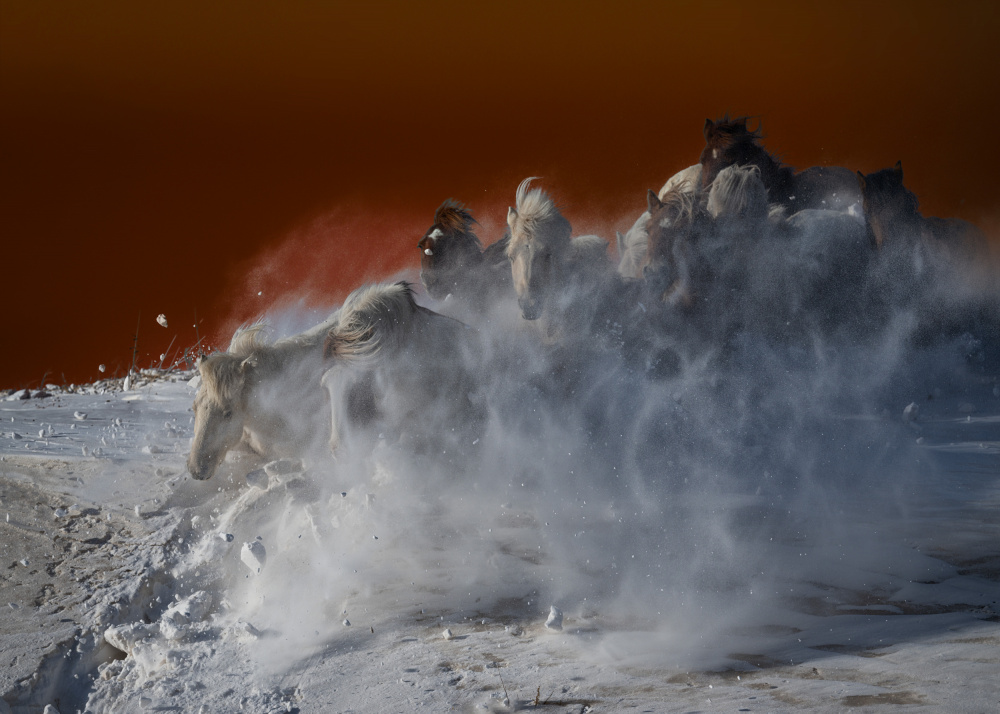 Escaping from the sea of fire von Chuanxu Ren