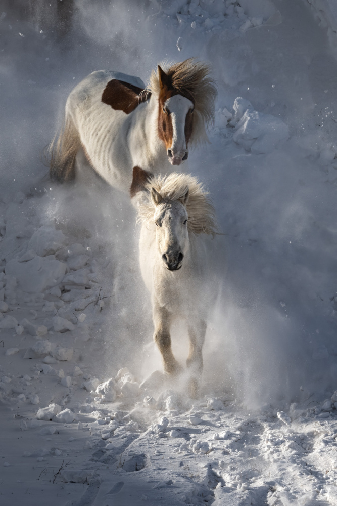 Two Horses von Chuanxu Ren