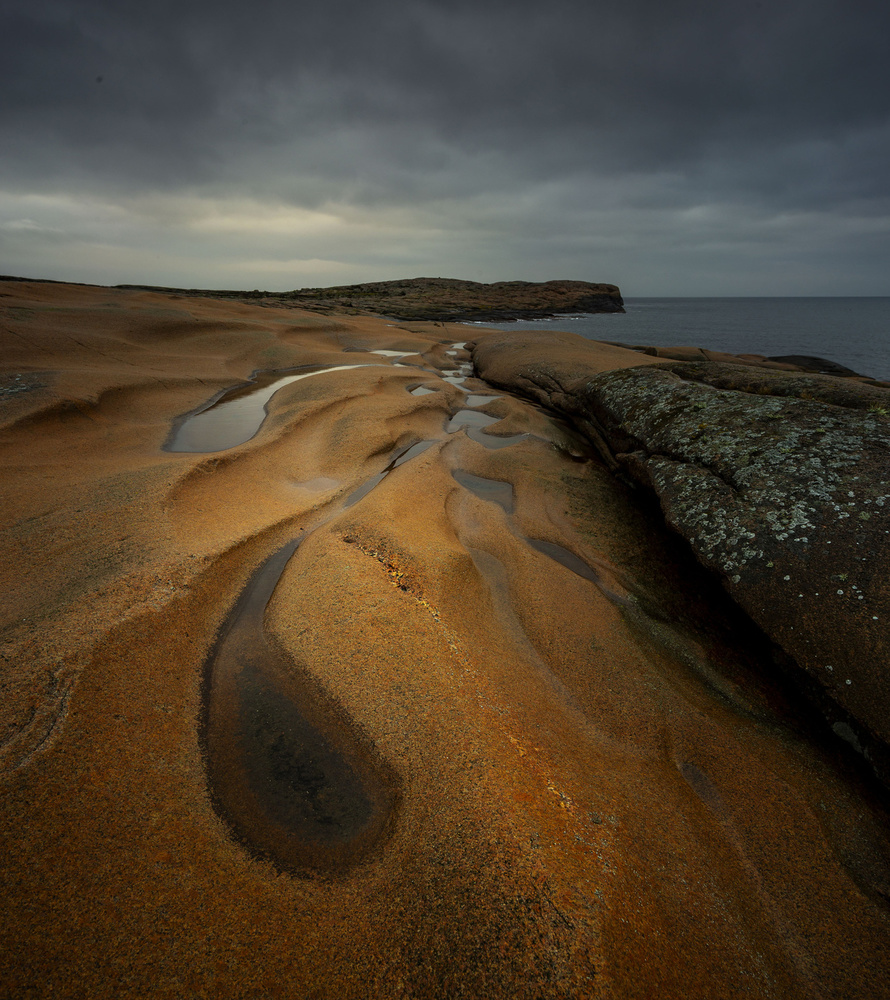 coastal Landscape von Clas Gustafson PRO