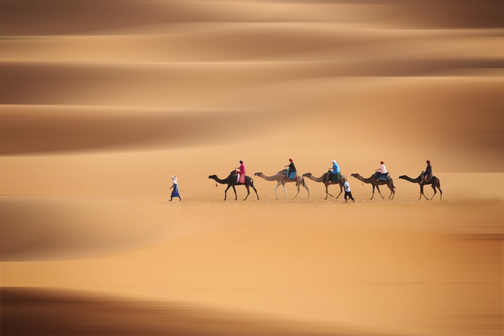 Desert caravan von Clas Gustafson PRO