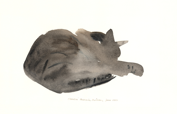 Sleeping cat von Claudia Hutchins-Puechavy