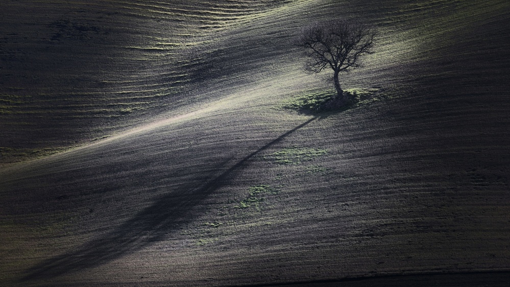 the long shadow von Claudio Moretti