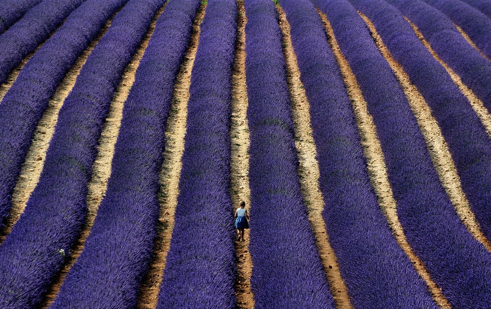 small steps between a world of blue lines von Claudio Moretti