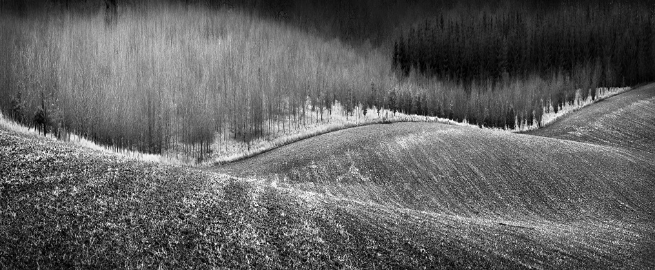 Field Margin von Clive Collie