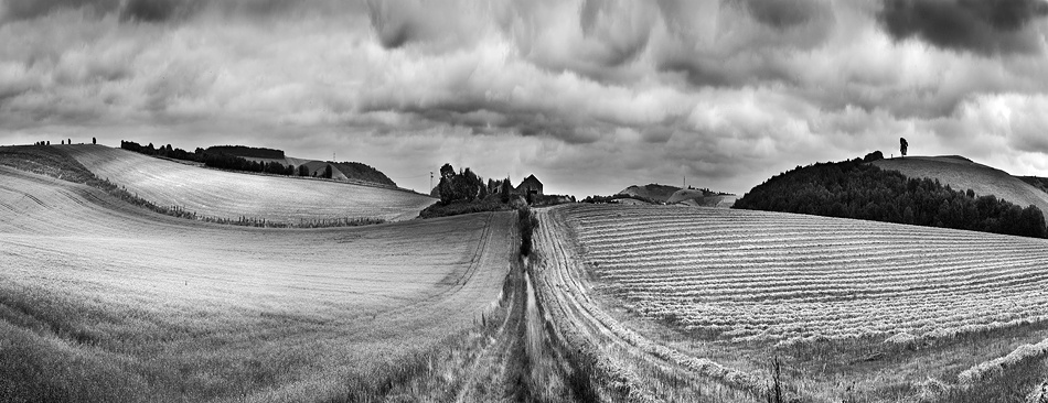 Hampshire Landscape von Clive Collie