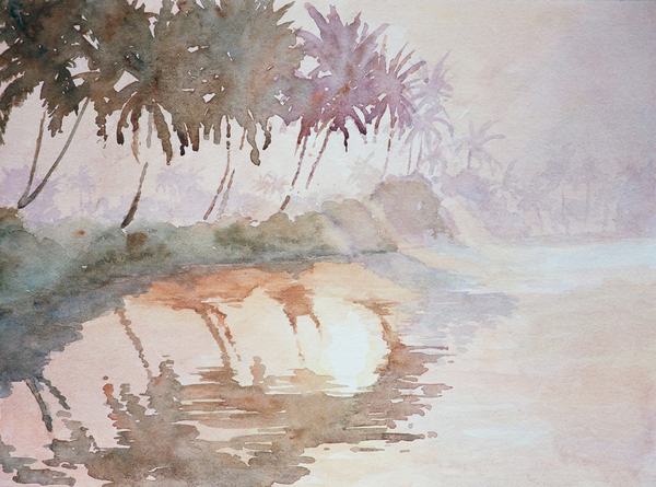 636 Backwaters, sun rising through mist von Clive Wilson