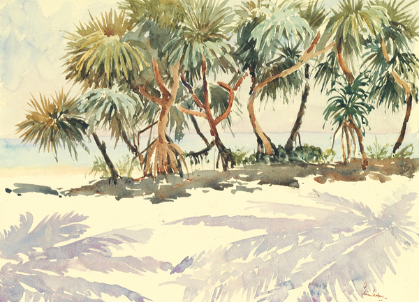 735 Straw trees, Bentota von Clive Wilson