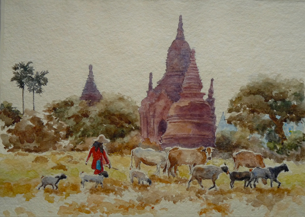 901 Bagan, herding among the temples von Clive Wilson