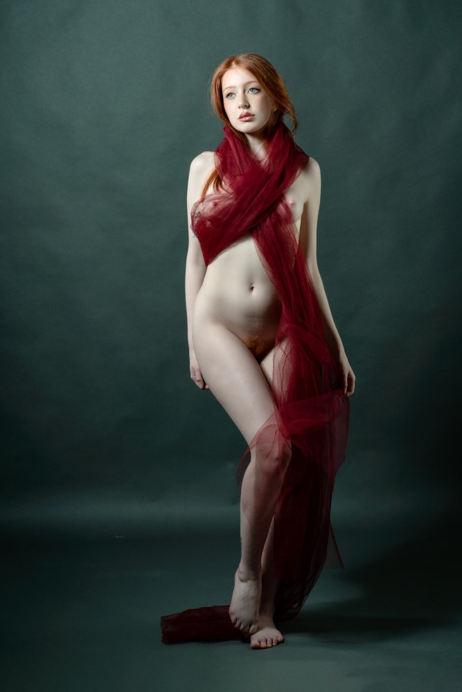 Wrapped in red 2 von Colin Dixon