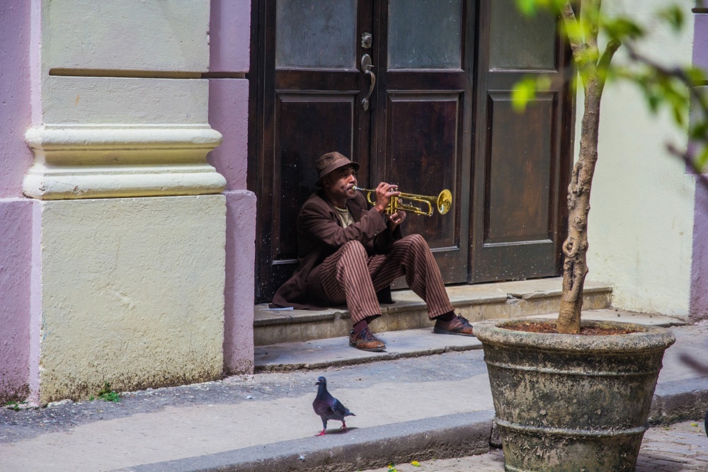 Playing for pigeons von Colin Hatherill