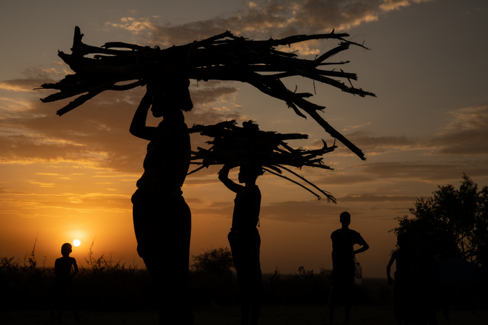 The Children of the Tribe von Corinne Spector