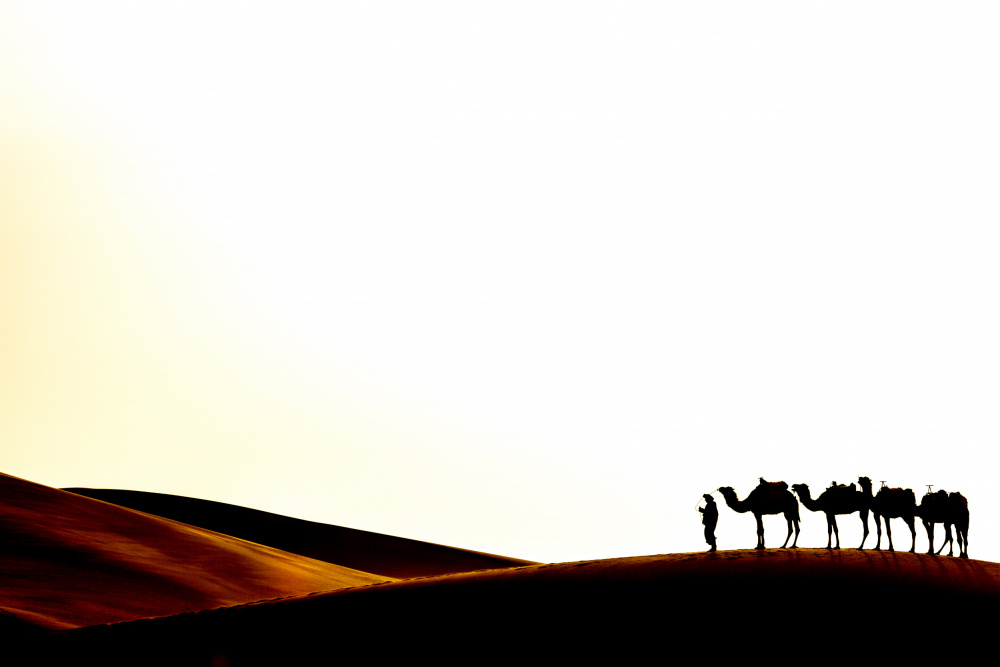 Sahara desert von Corinne Spector