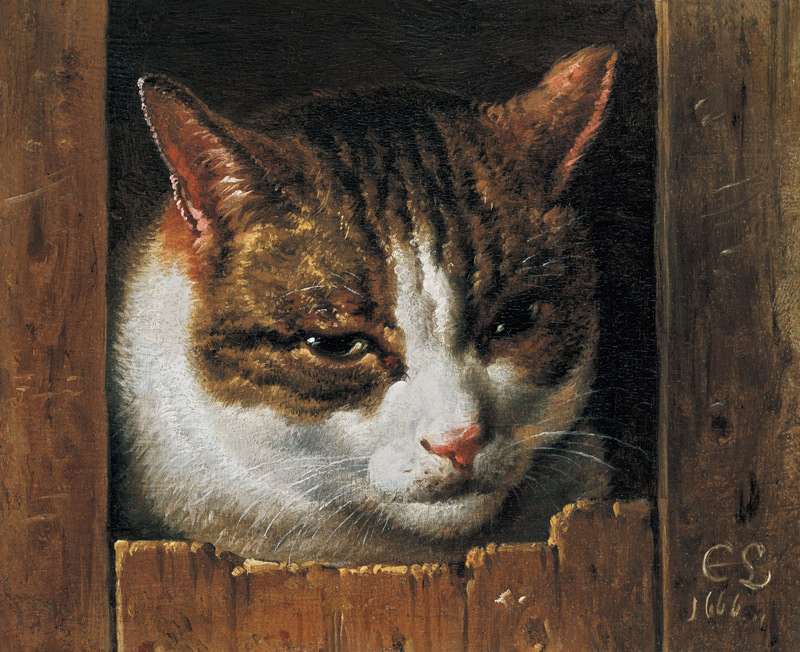 Eine Katze guckt durch einen Zaun von Cornelis Saftleven