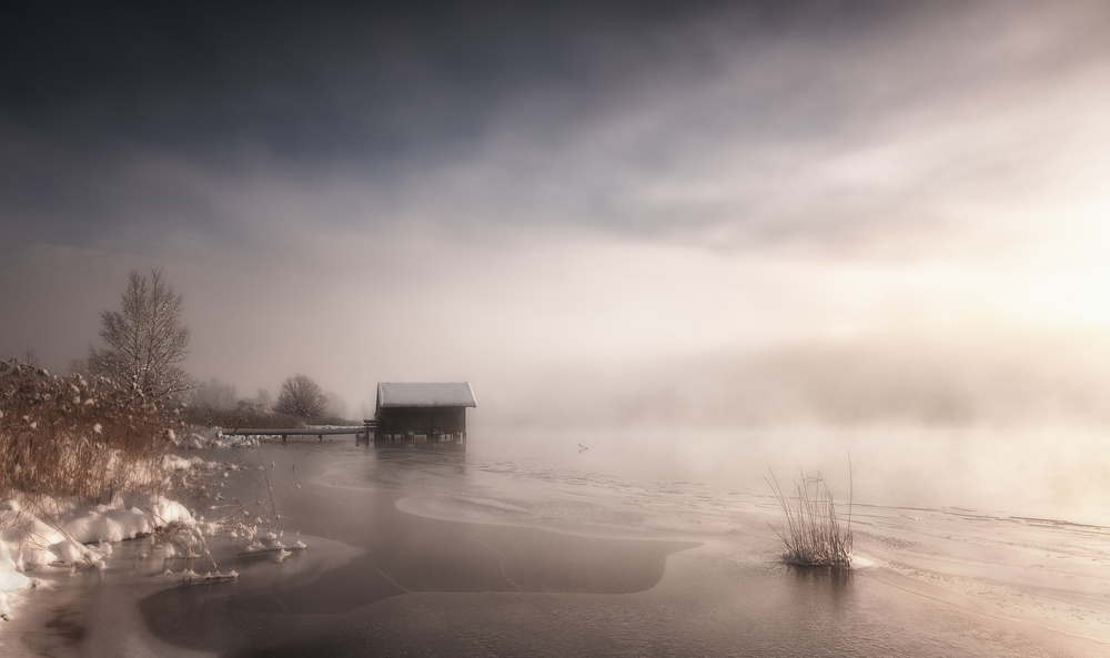 Misty Winter Morning von Corry DeLaan