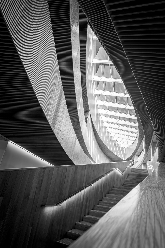 Monochrome Lines von Craig Harding