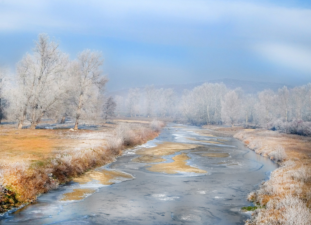 Frozen von Cristian Andreescu