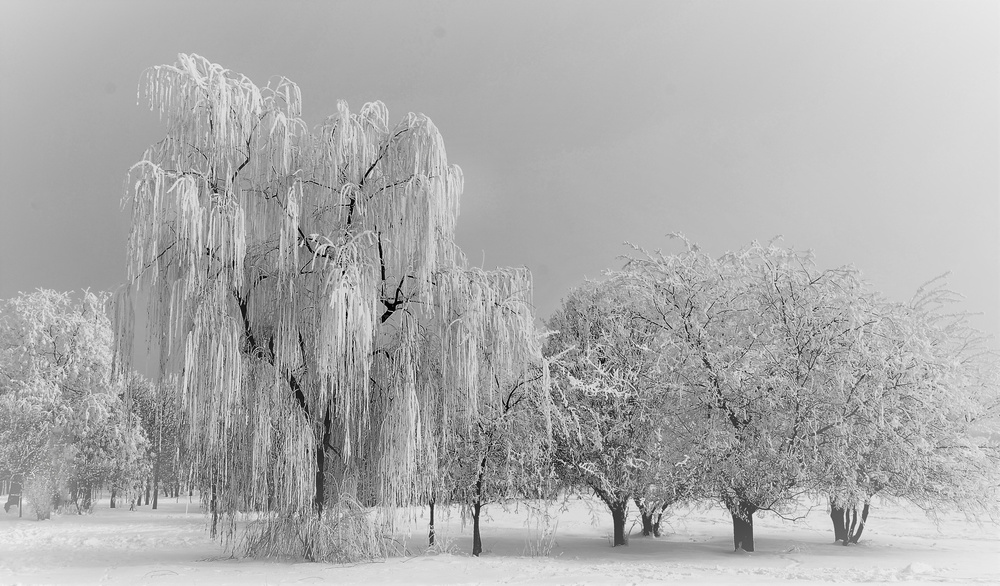 Frozen von Cristian Andreescu