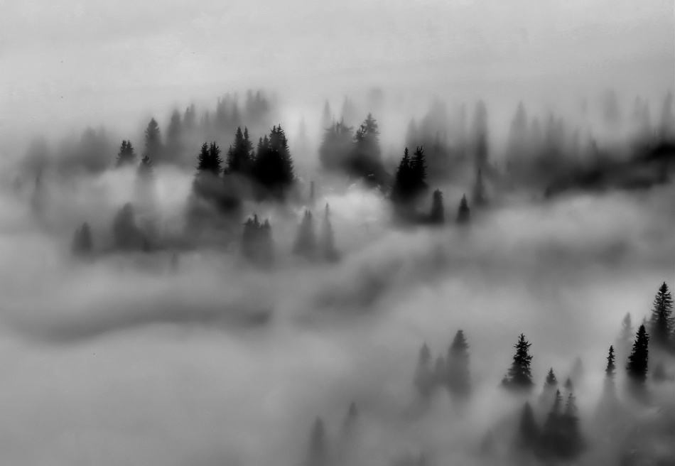 Ground-fog von Cristian Flueraru